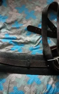 هیکلی علامت