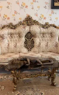 سرویس چوب،مبل سلطنتی، سرویس خواب