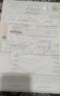 گم شدن برگ سبز موتور