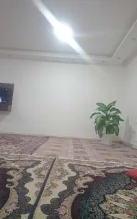 گل دیفن باخیا