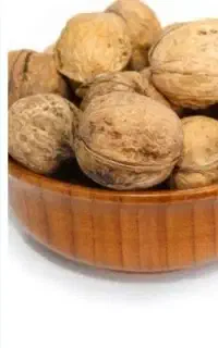 فروش گردو