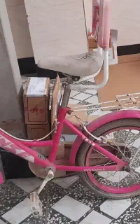 دوچرخه