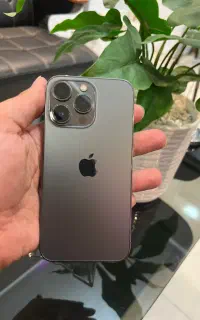 13 pro 256