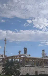 جویا کار در شرکت ها