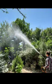 خدمات باغبانی و سمپاشی آبسرد گیلاوند مشاء