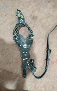 هارنس میخ دار