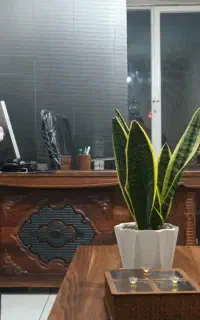وکیل پایه یک دادگستری متخصص دعاوی خانواده