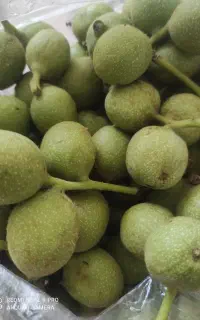 گردو مخصوص مربا