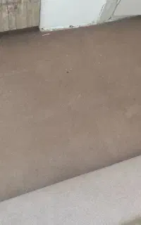 موکت