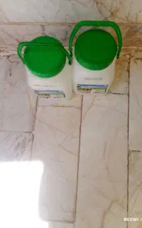 بیست عدد دبه ماست سالم و تمیز