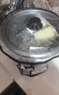 پلوپز برقی