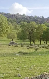 زمین جاده اولادقباد