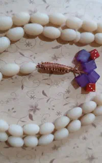 تسبیح هسته خرما(داز)