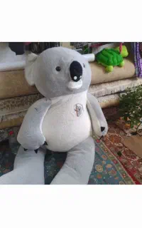شوش فروش پاندا
