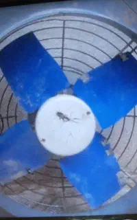 فن هواکش ۵۰ در ۵۰