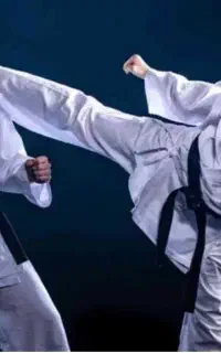 ثبت نام دوره تابستانه کاراته