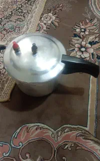 زود پز