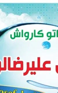 همکار ماهر در کارواش