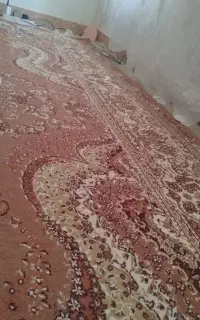 فرش و پلوپز