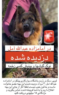 سگ ژرمن دزدیده شده/گمشده در امامزاده عبدالله آمل