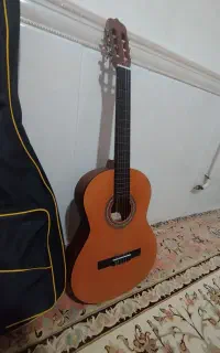 گیتار پارسی M2 نوع