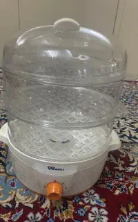 بخار پز