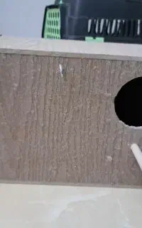 لونه پرنده