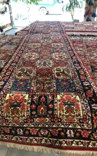 کناره جهادی و زرع نیم خشت پاسوری