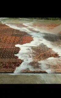 قالیشویی گل رز شفت