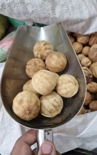 فروش ویژه حبوبات  با قیمت مناسب.