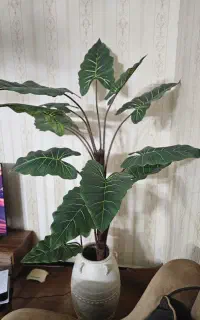 درختچه مصنوعی و ویترین