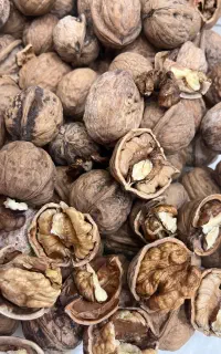فروش انواع محصولات باغی خراسان