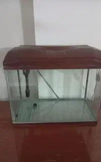 آکواریوم