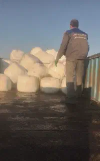 سیلاژیونجه بسته بندی باکیفیت