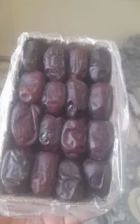 خرما درجه یک بم