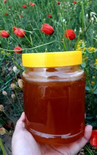 عسل طبیعی به شرط آزمایش