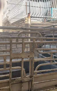 باربند پیکان.وانت