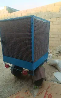 بودی