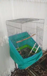 قفس بزرگ پرنده