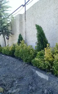 باغبانی و نگهداری باغ و....