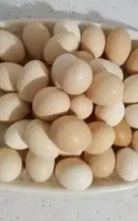 تخم مرغ نطفه دار