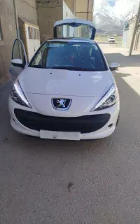 207 پانا ارتقا یافته خشک مدل405