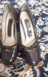 دوجفت کفش مجلسی