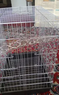 قفس طوطی با وسایل ارزان