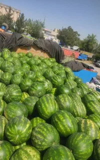 باربری هندوانه تریلی چادر لبه جفت تک خاور