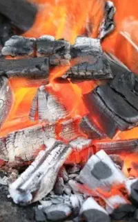 فروش ذغال کبابی به صورت عمده