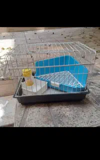 جا آبی خرگوش
