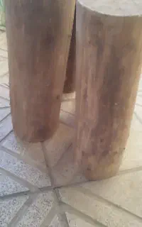تنه درخت برای تزیین