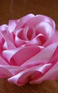گل های زیبا