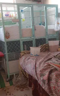 قفس دوطبقه چهارقسمته ودارای چهار چرخ و رنگ کوره ای